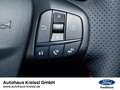 Ford Focus Turnier ST-Line 1.0 EcoBoost Mild-Hybrid Grau - thumbnail 18