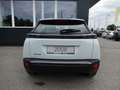 Peugeot 2008 PureTech 100 S&S Style 6-Gang-Manuell Weiß - thumbnail 7