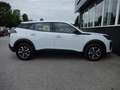 Peugeot 2008 PureTech 100 S&S Style 6-Gang-Manuell Weiß - thumbnail 5
