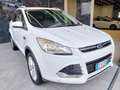 Ford Kuga 2.0 TDCI 140 CV 4WD Titanium (Garanzia 12Mesi) Bianco - thumbnail 3