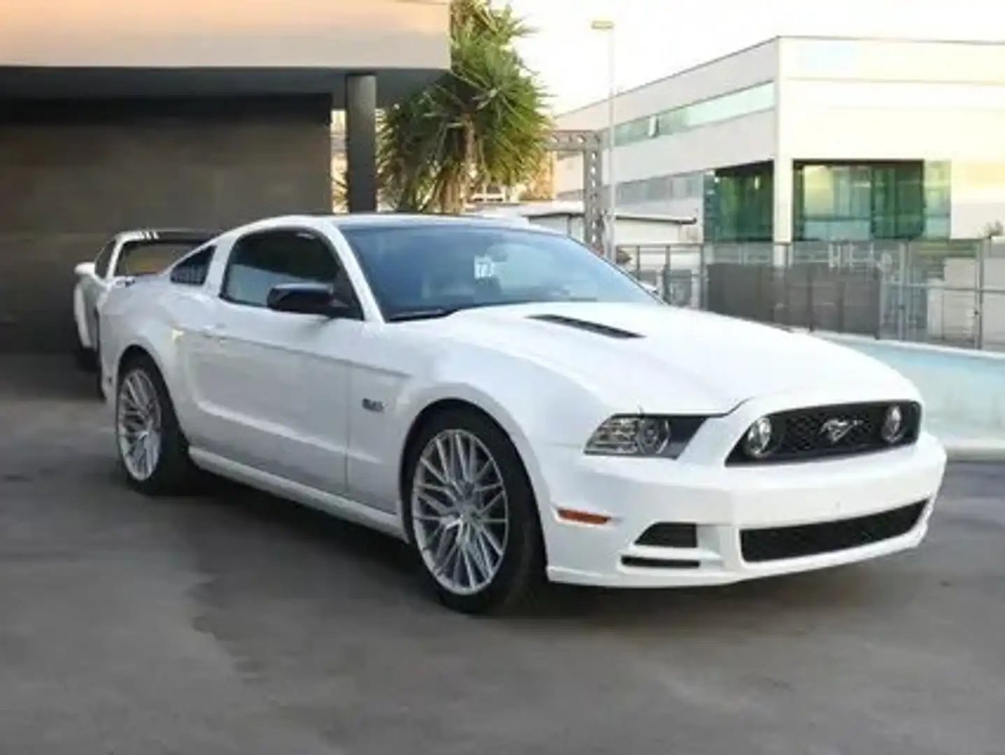 Ford Mustang 5.0 v8 Manuale Recaro Tetto in vetro NoSuperbollo Bianco - 2