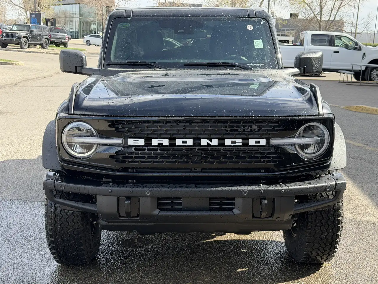Ford Bronco fotografie Ford Bronco