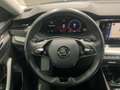 Skoda Octavia Combi 2.0 TDI 4x4 DSG AMBITION NAVI+AHK Grau - thumbnail 10