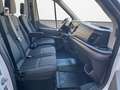Ford Transit Pritsche 350L3 4X4 AHKStandh.Sitz29Plane Weiß - thumbnail 10