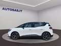 Renault Scenic TCe 140 CV FAP Intens Weiß - thumbnail 4