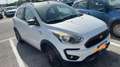 Ford Ka/Ka+ Ka + active 1.5 ecoblue(tdci) s&s 95cv - thumbnail 5
