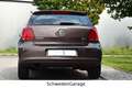 Volkswagen Polo V 1.2 Life Automatik/SHZ/52TKM Brun - thumbnail 5