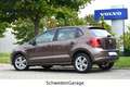 Volkswagen Polo V 1.2 Life Automatik/SHZ/52TKM Brun - thumbnail 4
