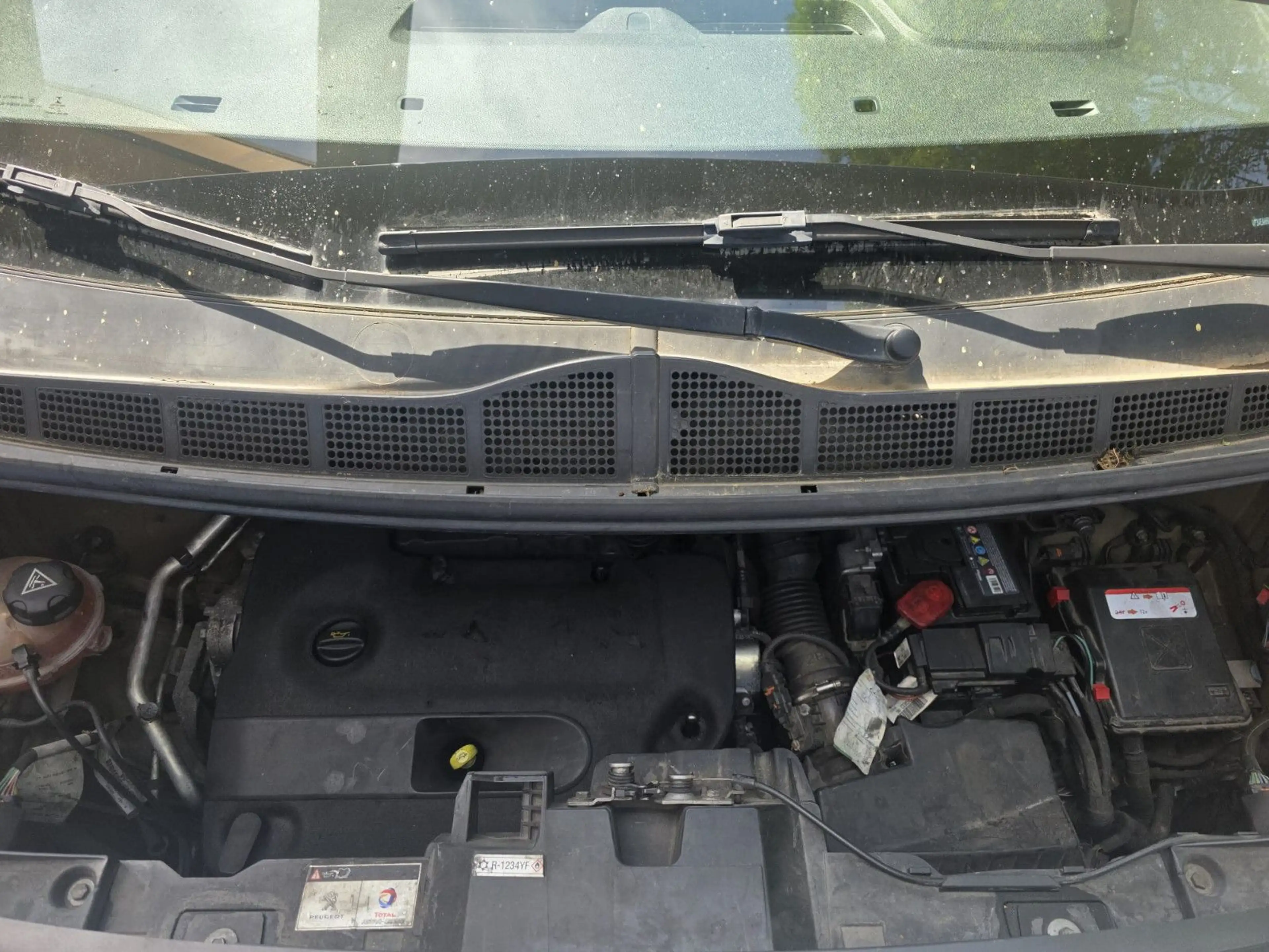 Peugeot Expert Kombi L2 Rollstuhlrampe — photo 17