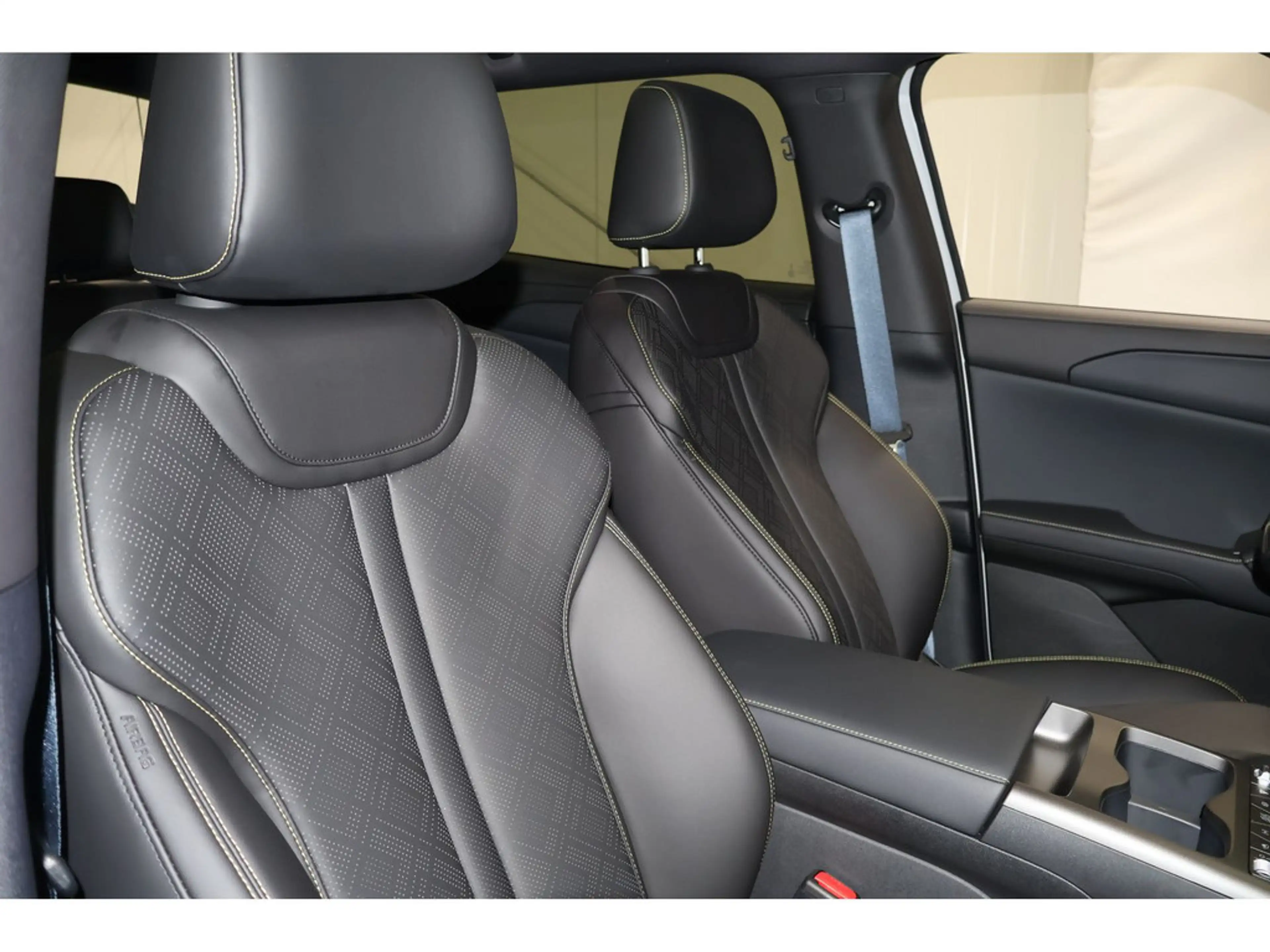 BYD Atto 2 Comfort Navi/Sitzheizung/Rückfahrkamera — photo 14