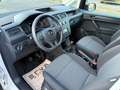 Volkswagen Caddy 1.0 TSI Kasten EcoProfi BMT | Klimaanlage Weiß - thumbnail 10