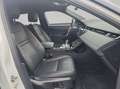 Land Rover Range Rover Evoque D165 R-Dynamic SE Weiß - thumbnail 19