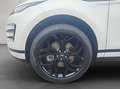 Land Rover Range Rover Evoque D165 R-Dynamic SE Weiß - thumbnail 24