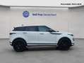 Land Rover Range Rover Evoque D165 R-Dynamic SE Weiß - thumbnail 7