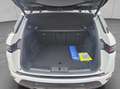 Land Rover Range Rover Evoque D165 R-Dynamic SE Weiß - thumbnail 5