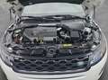 Land Rover Range Rover Evoque D165 R-Dynamic SE Weiß - thumbnail 22