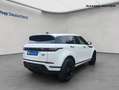 Land Rover Range Rover Evoque D165 R-Dynamic SE Weiß - thumbnail 6