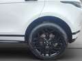 Land Rover Range Rover Evoque D165 R-Dynamic SE Weiß - thumbnail 27