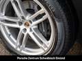 Porsche Macan Surround-View BOSE Luftfederung 20-Zoll Schwarz - thumbnail 13