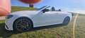 Mercedes-Benz E 53 AMG E 53 AMG 4M. Pr. Plus Blanco - thumbnail 28