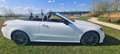 Mercedes-Benz E 53 AMG E 53 AMG 4M. Pr. Plus Blanco - thumbnail 38