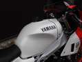 Yamaha XSR 900 GP *1.Hand* Rouge - thumbnail 8