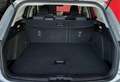 Ford Focus Focus 1.5 EcoBlue 120 CV SW ST-Line Grigio - thumbnail 13