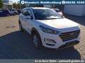 Hyundai TUCSON CRDi DCT+Navi+Kamera+Klimaautomatik+Alu Biały - thumbnail 3