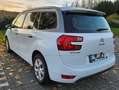 Citroen Grand C4 Picasso Grand C4 Picasso BlueHDi 120 Selection Weiß - thumbnail 9