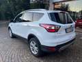 Ford Kuga 1.5 TDCI 120 CV TITANIUM Blanc - thumbnail 2