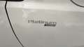 Kia Rio 1.0 T-GDI 120PS Autom/Platinum Edition/SD+Klimaaut Blanco - thumbnail 15