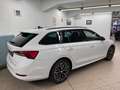 Skoda Octavia WAGON 2.0 TDI 110 kW (150 CV) DSG EXECUTIVE Bianco - thumbnail 9