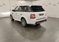 Land Rover Range Rover Sport 3.0 tdV6 Autobiography auto Bianco - thumbnail 4