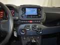 Fiat Panda 1.0 70CV Hybrid Gris - thumbnail 8