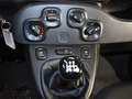 Fiat Panda 1.0 70CV Hybrid Gris - thumbnail 9