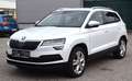 Skoda Karoq 2.0 TDI Style SC 4x4 (EURO 6d) Weiß - thumbnail 1