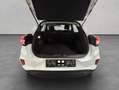 Ford Puma 1.0 EcoBoost COOL & CONNECT Wi-Pa Klimaaut. Wit - thumbnail 4