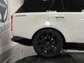 Land Rover Range Rover 3.0 Si6 PHEV HSE SWB AWD Aut. 510 Blanco - thumbnail 31