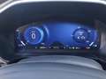 Ford Kuga 2.5 Full Hybrid 190 CV CVT 2WD Titanium Business Grigio - thumbnail 11