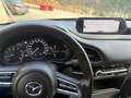 Mazda CX-30 G150/Comfort+ 3x 6.290,- Grau - thumbnail 9