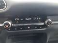 Mazda CX-30 G150/Comfort+ 3x 6.290,- Grau - thumbnail 15