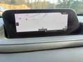 Mazda CX-30 G150/Comfort+ 3x 6.290,- Grau - thumbnail 7