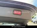 Mercedes-Benz C 220 d 4MATIC T AVA*HighEndK.*STHZG*Memory*LED* Blau - thumbnail 31