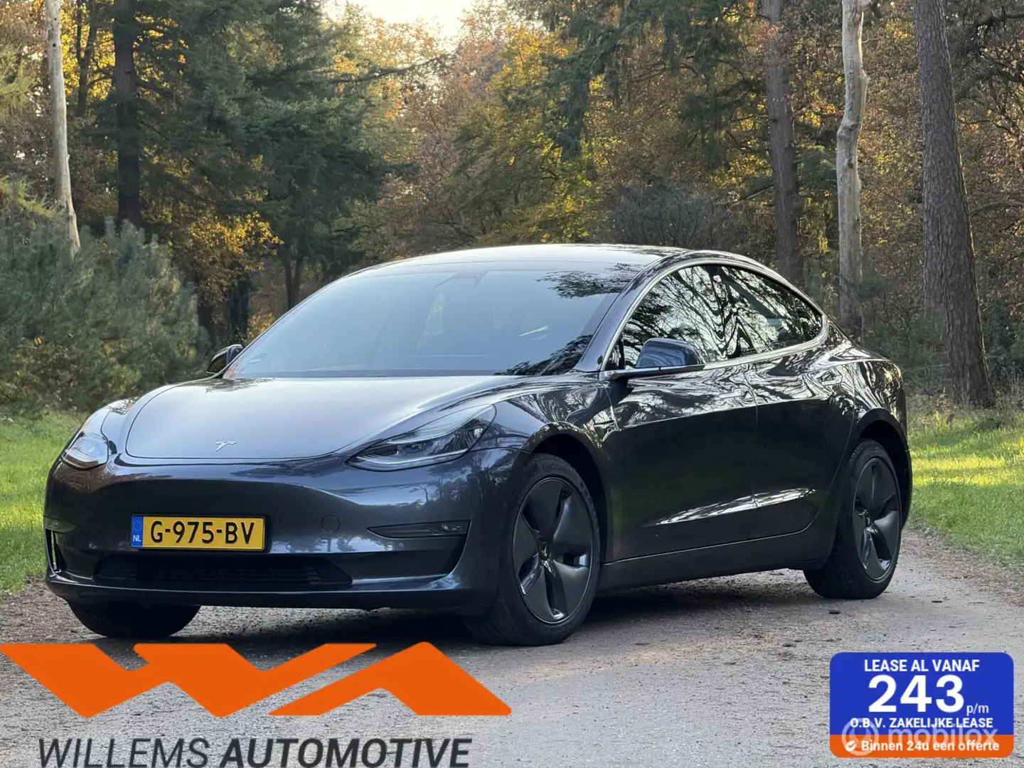 Tesla Model 3 Standard RWD Plus 60 kWh Grigio - 1