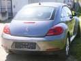 Volkswagen Beetle Beetle 1,6 TDI Grau - thumbnail 5