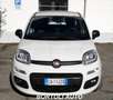 Fiat Panda 1.2 GPL 21.000 KM EASY POWER IDONEA NEOPATENTATI Blanc - thumbnail 2