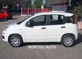 Fiat Panda 1.2 GPL 21.000 KM EASY POWER IDONEA NEOPATENTATI Bianco - thumbnail 3
