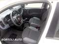 Fiat Panda 1.2 GPL 21.000 KM EASY POWER IDONEA NEOPATENTATI Bianco - thumbnail 7