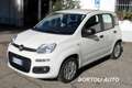 Fiat Panda 1.2 GPL 21.000 KM EASY POWER IDONEA NEOPATENTATI Bianco - thumbnail 1