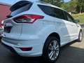 Ford Kuga 2.0 TDCI  Individual Bi-Xenon/PANO/4X4 Weiß - thumbnail 6